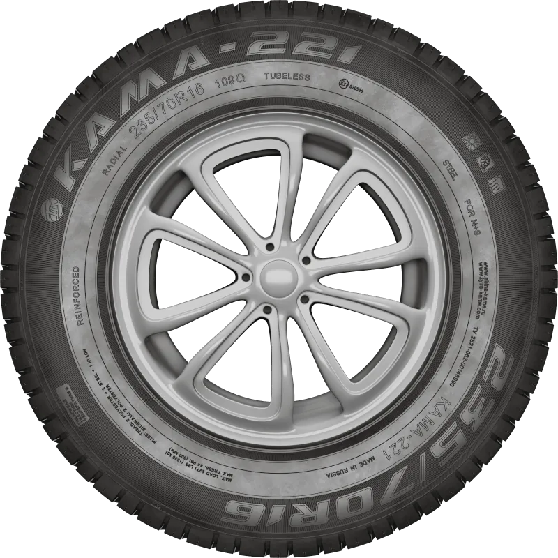 KAMA-221 в Себеже — KAMA TYRES KAMA-221 в Себеже